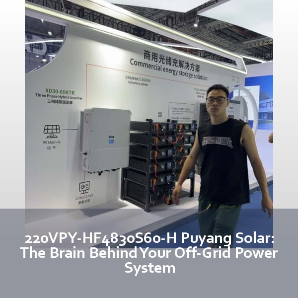 220VPY-HF4830S60-H Puyang Solar: The Brain Behind Your Off-Grid Power System